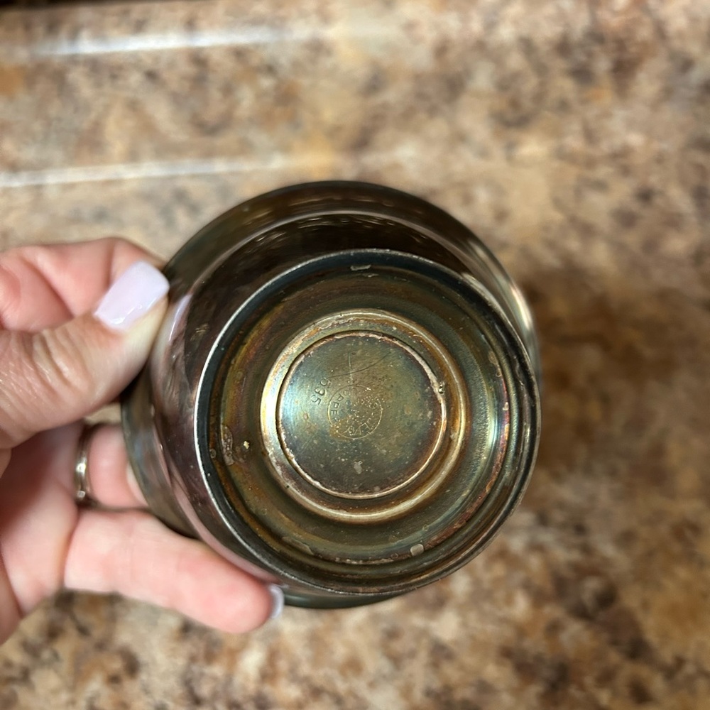 Elegant Silver-Toned Home Accent Bowl